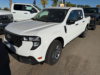 City Ford Edmonton Fleet Department