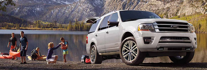 2016 Ford Expeditions for sale in Edmonton