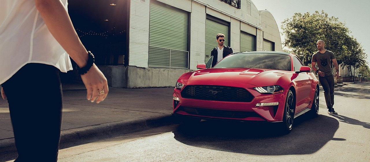 2019 Ford Mustang for sale in Edmonton