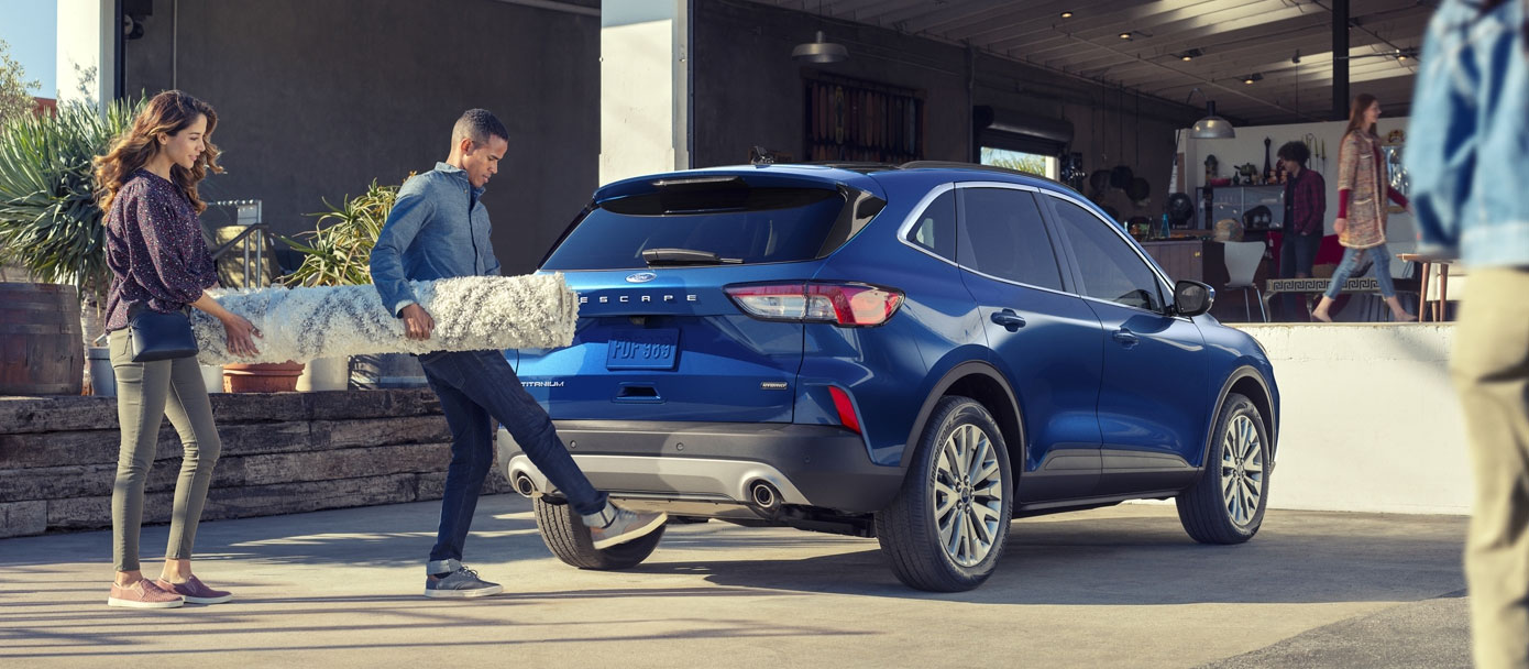 2020 Ford Escapes for sale in Edmonton