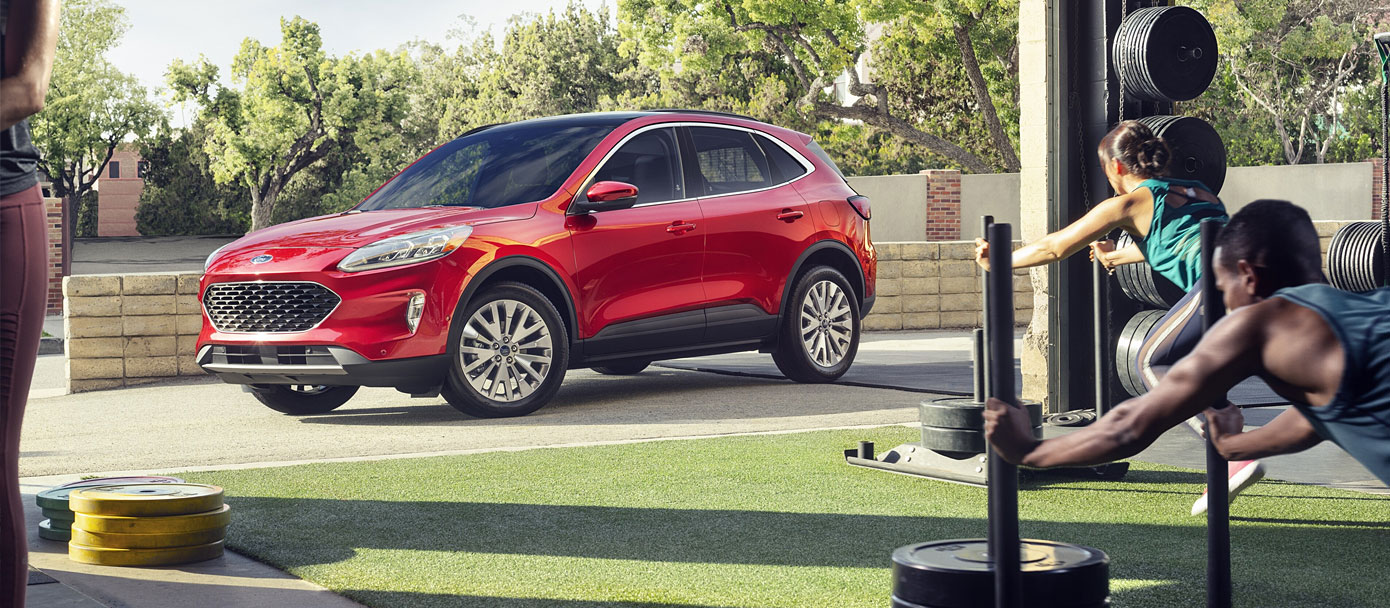2021 Ford Escapes for sale in Edmonton, Alberta